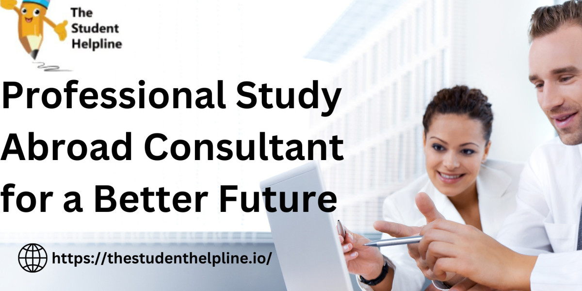 Professional Study Abroad Consultant for a Better Future