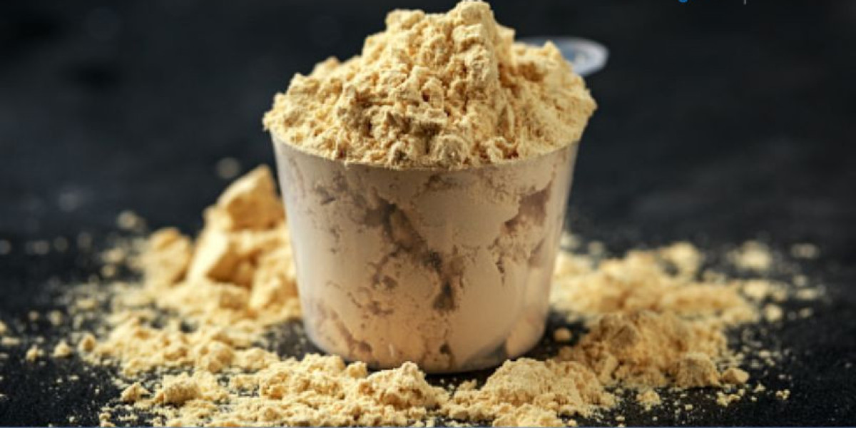 Whey Protein Concentrate Market Trends, Size, Report and Forecast - 2032