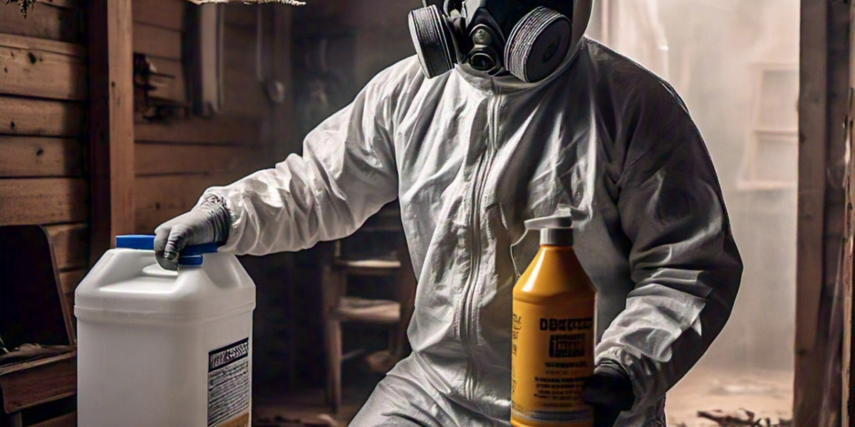 Best Pest Control Services Lahore