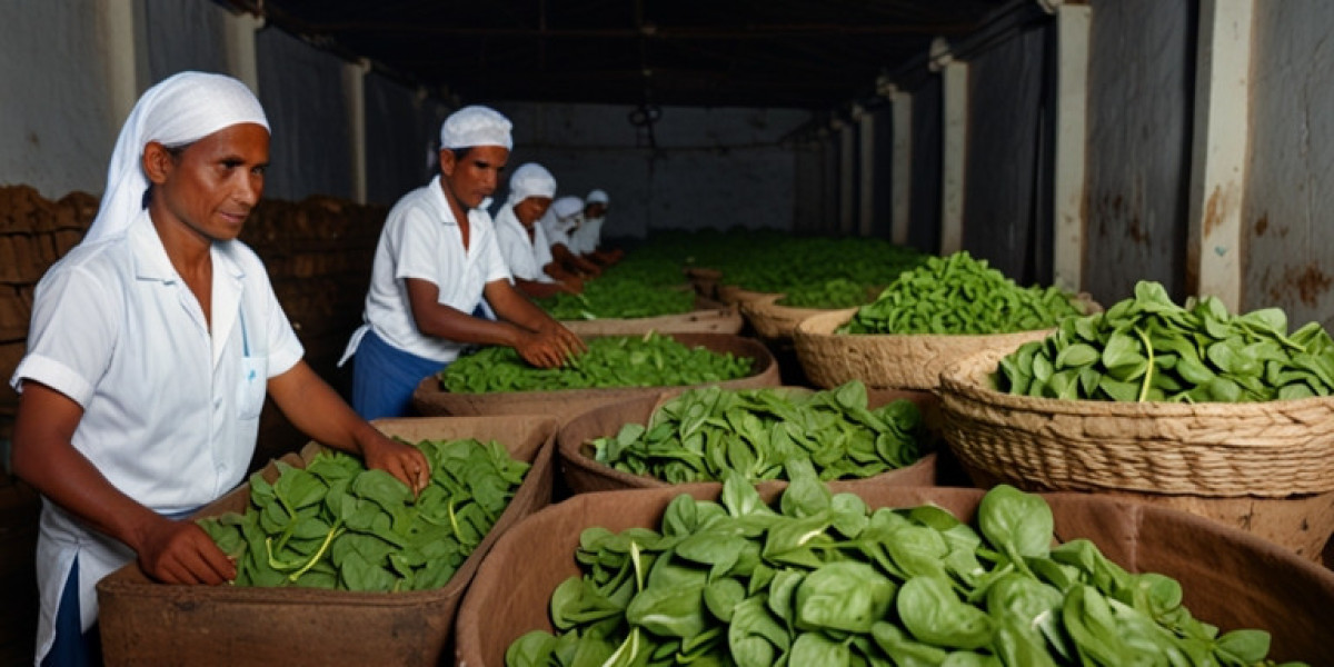 Ceylon Spinach Processing Plant Project Report 2025: Industry Trends and Unit Setup