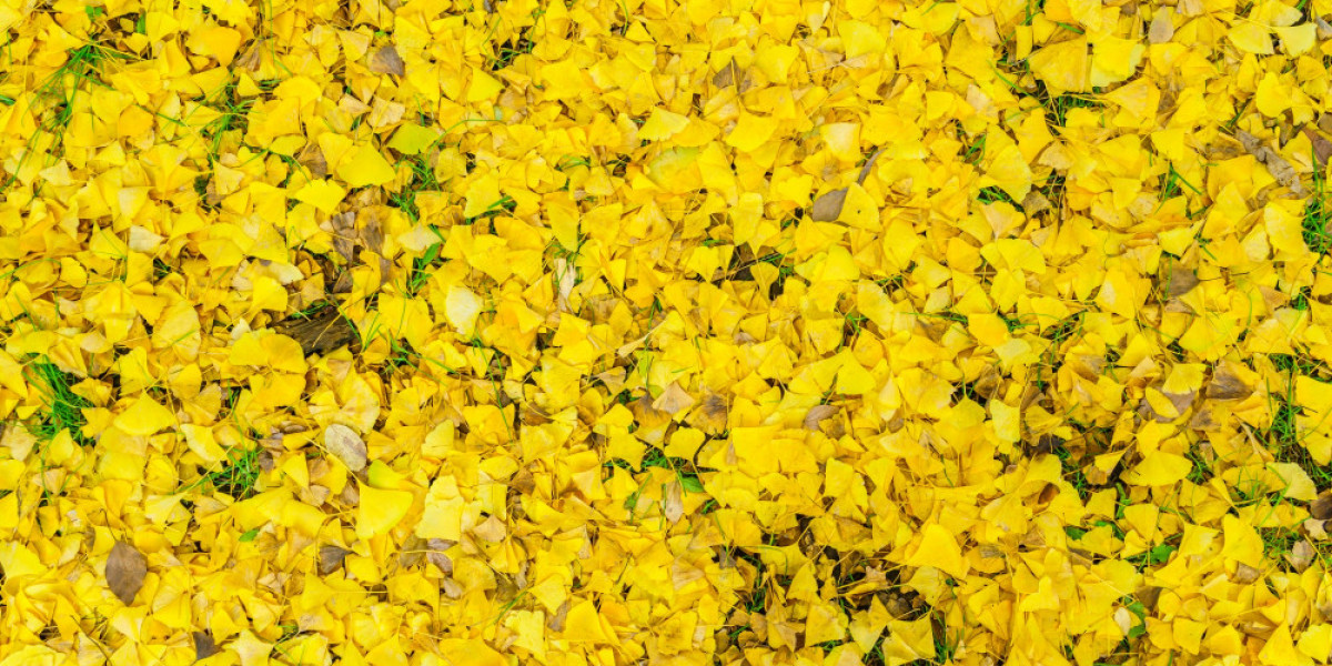 Blown Rapeseed Oil Market: Applications, Benefits, and Production Insights