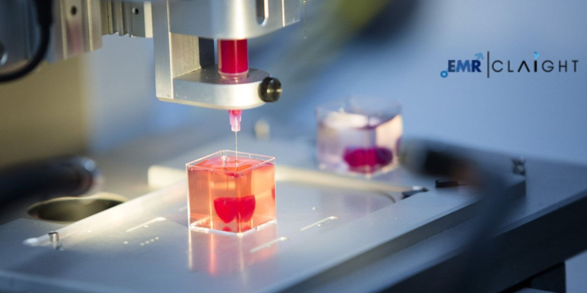 Global 3D Bioprinted Human Tissue Market Share, Size, Analysis & Forecast | 2034