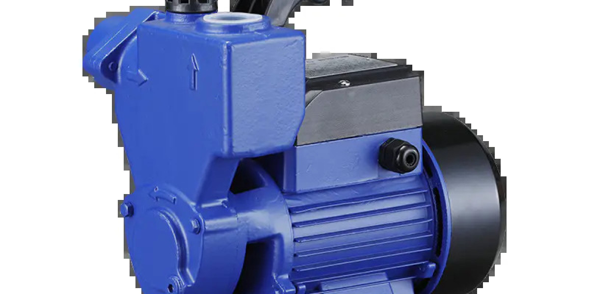 The Advantages of Choosing a Self-Priming Peripheral Pump Factory