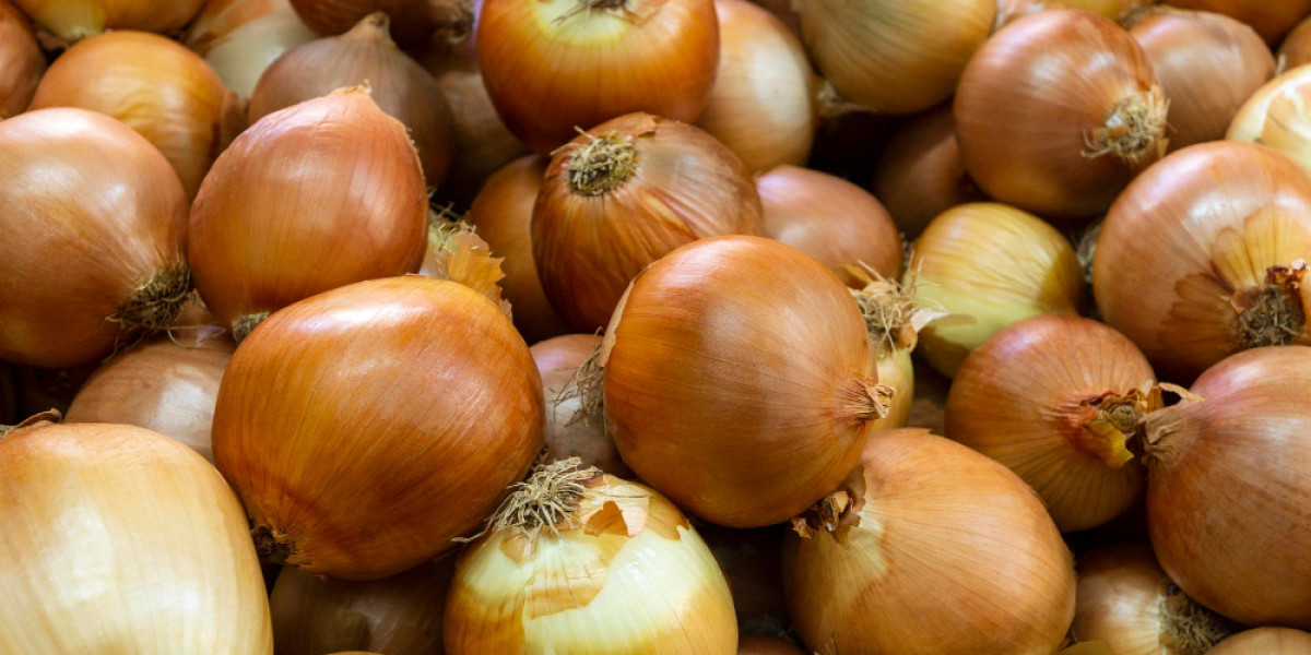 Onion Seeds Market: Cultivation Tips and Health Benefits You Should Know