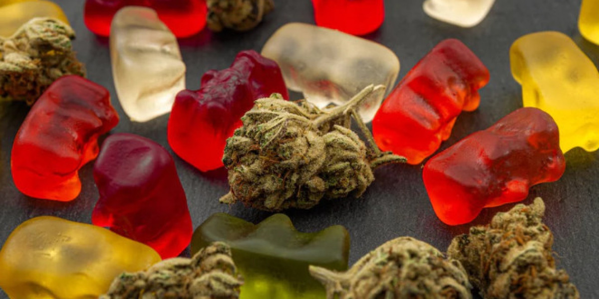 CBD Gummies vs. CBD Oil: Which is Better for You?