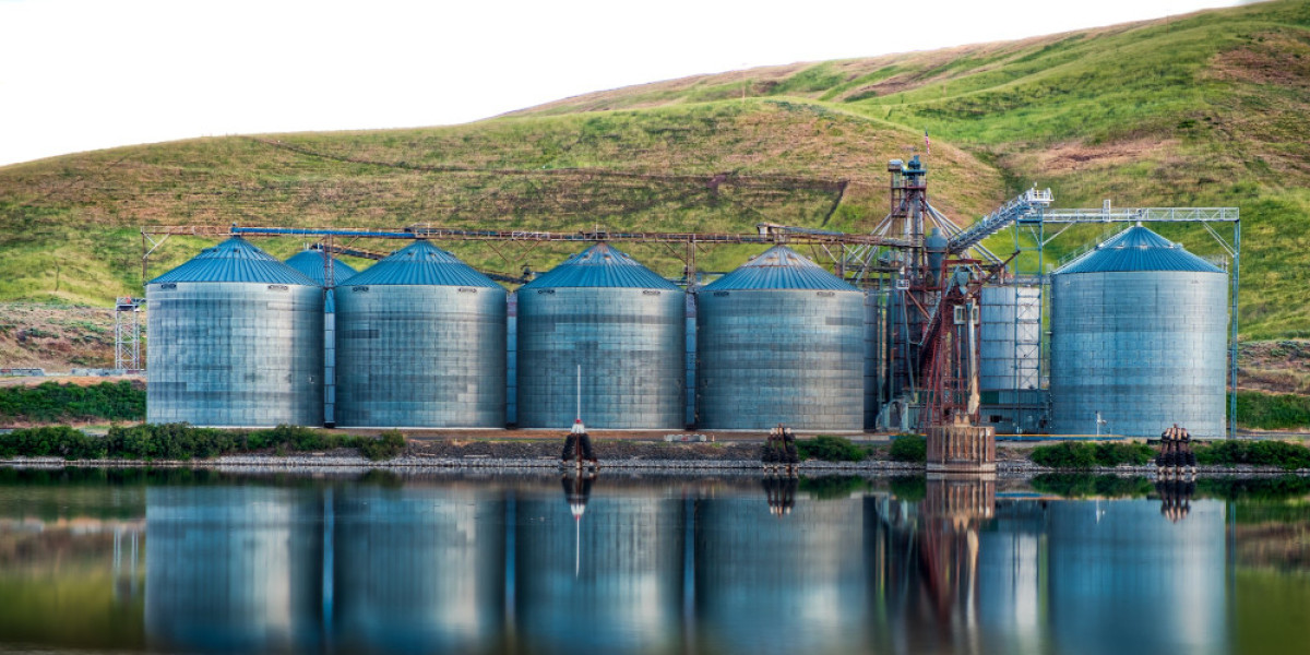 Aquafeed Market: Fueling Sustainable Growth in Aquaculture