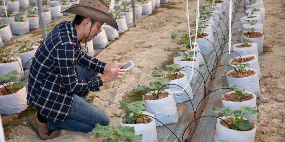 How Micro Irrigation Is Transforming Japan’s Farms