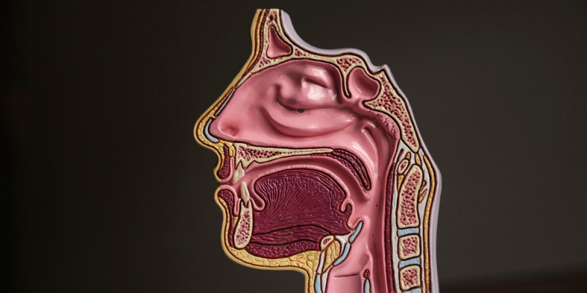 Barrett’s Esophagus Market: Understanding Causes, Treatment Options, and Prevention Strategies