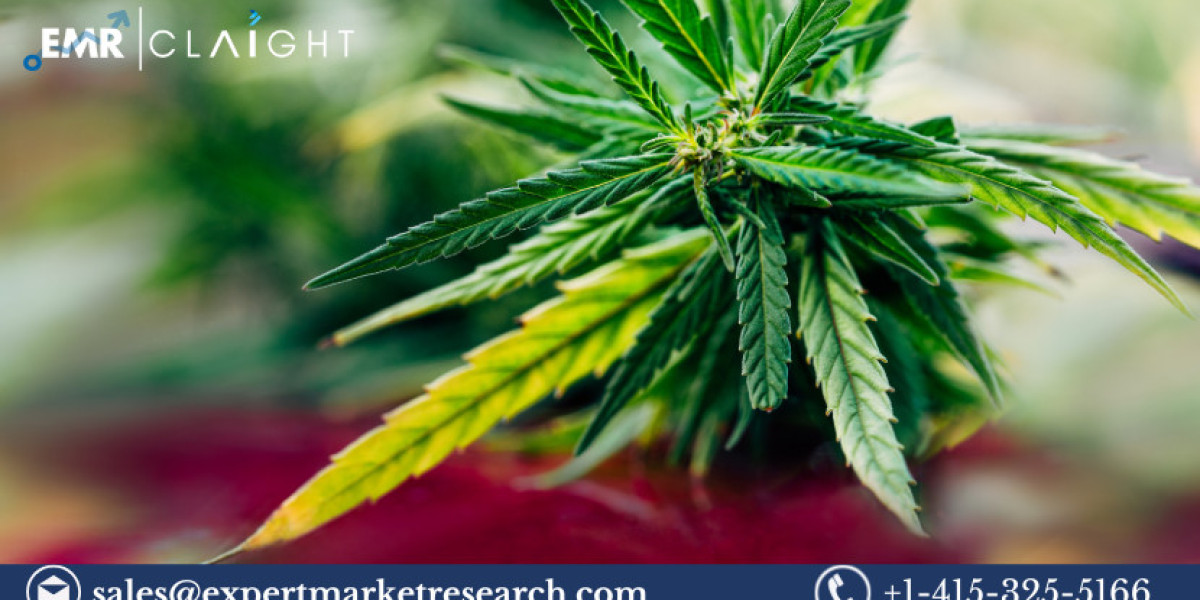 Industrial Hemp Market Size, Share & Trends 2025-2034