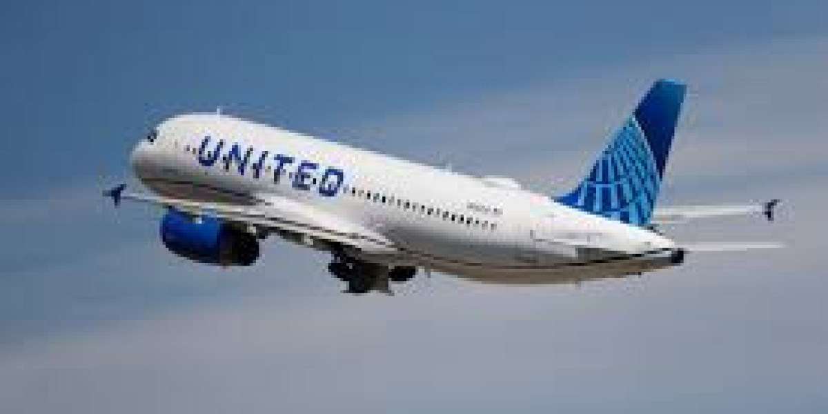 United Airlines Baggage Policy: A Complete Guide for Travelers