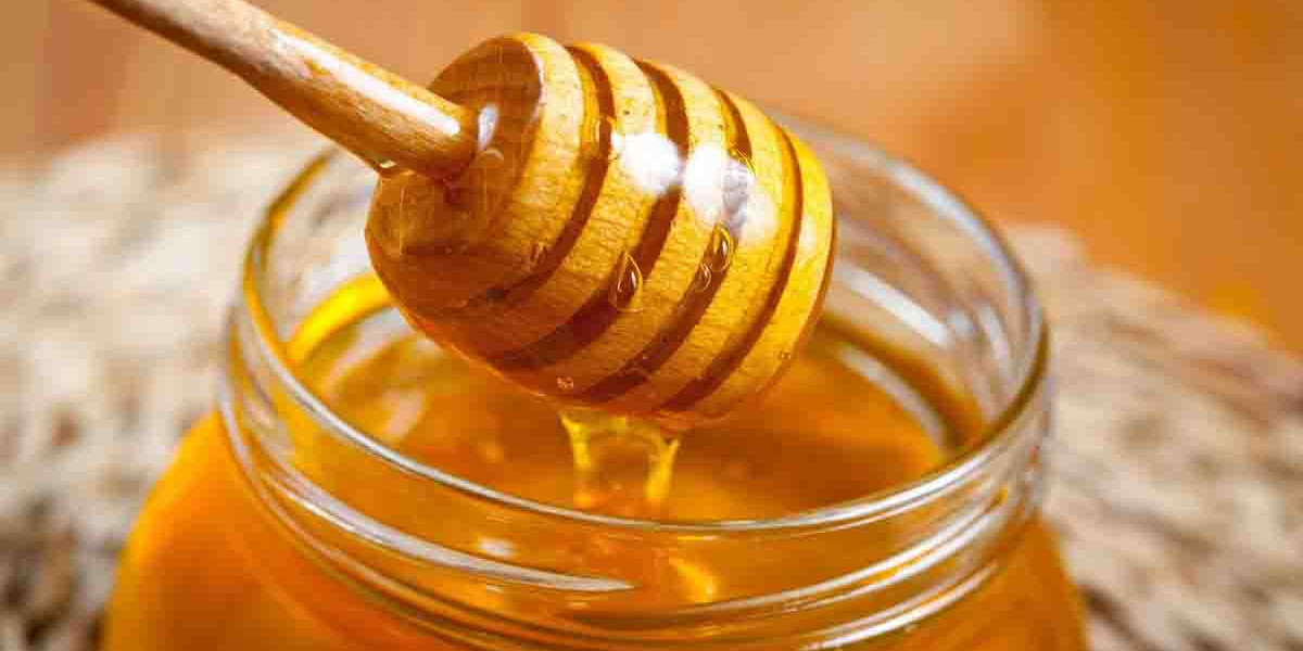 Best Raw Honey: Top Picks, Benefits, and How to Choose the Purest Honey