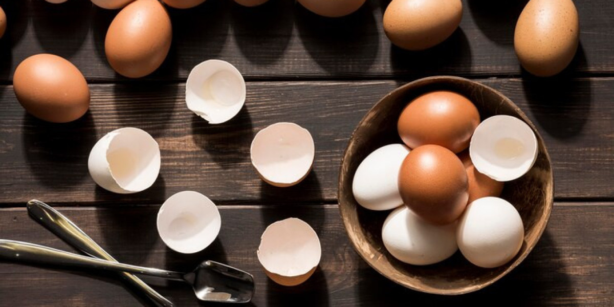 Egg Replacers Market Trends:  Size, Share, Trends, Innovations Driving the Future of Food