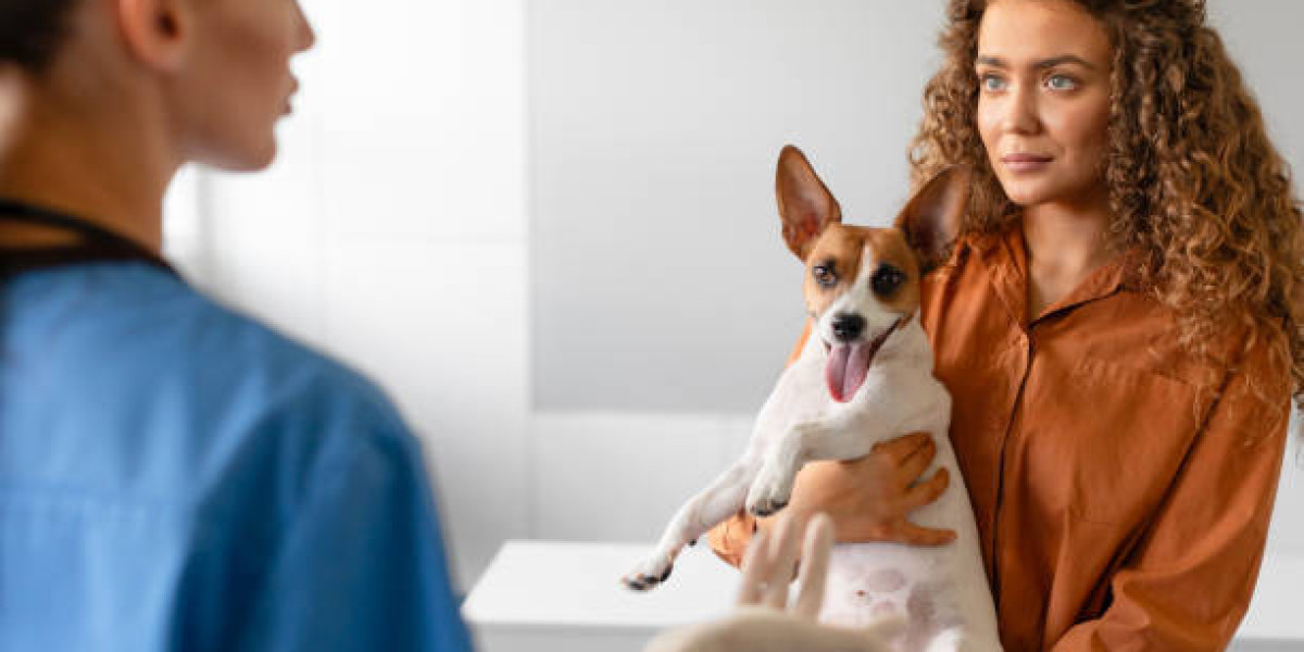 A Lifetime of Love and Care: Visit Our Pet Care Clinic Today