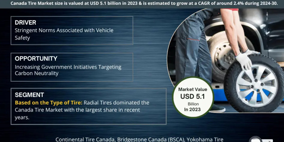 Canada Tire Market Projections: Size and Share Trends from 2024-30