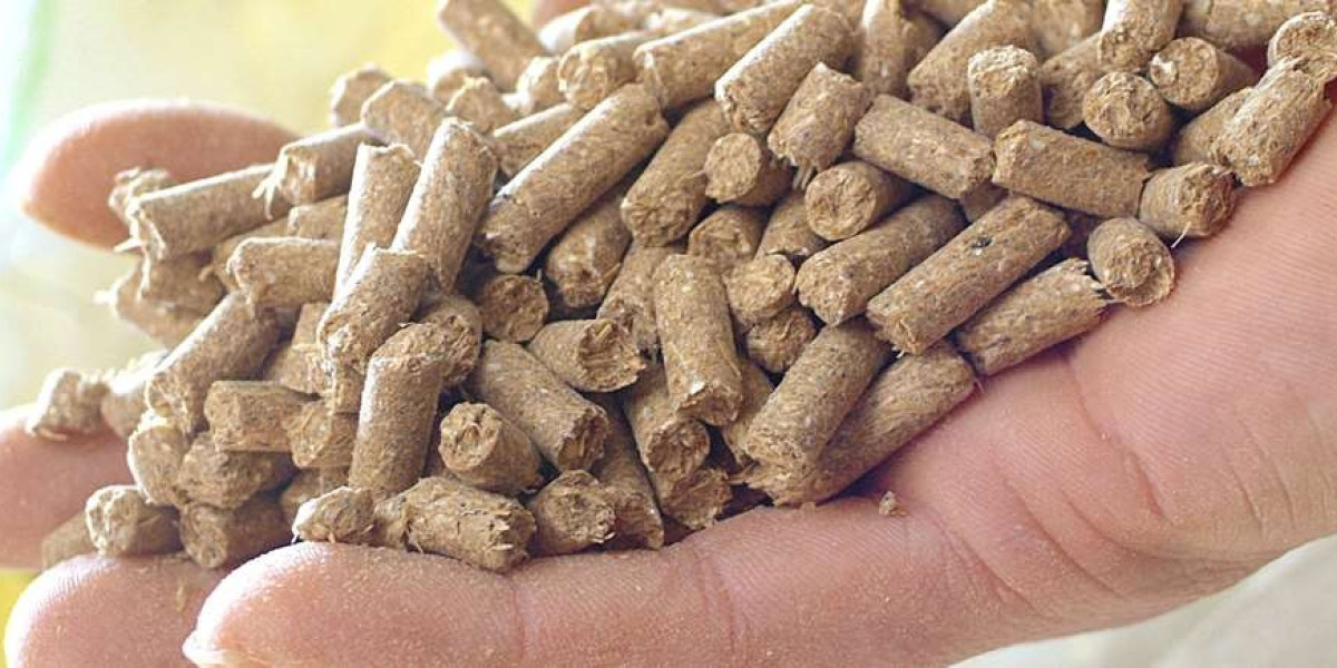 Project Setup Cost of Dog Food Manufacturing Plant, Machinery, Raw Materials & Technology: Detailed Report