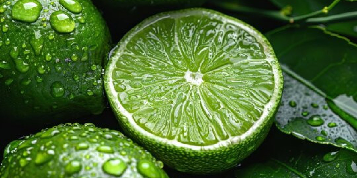 The United States Lime Market: A Zesty Outlook on Growth and Opportunities