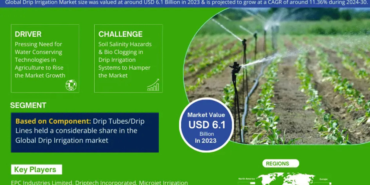 Drip Irrigation Market Dynamics – Driver, Challenge, Segment & Competition FY2030