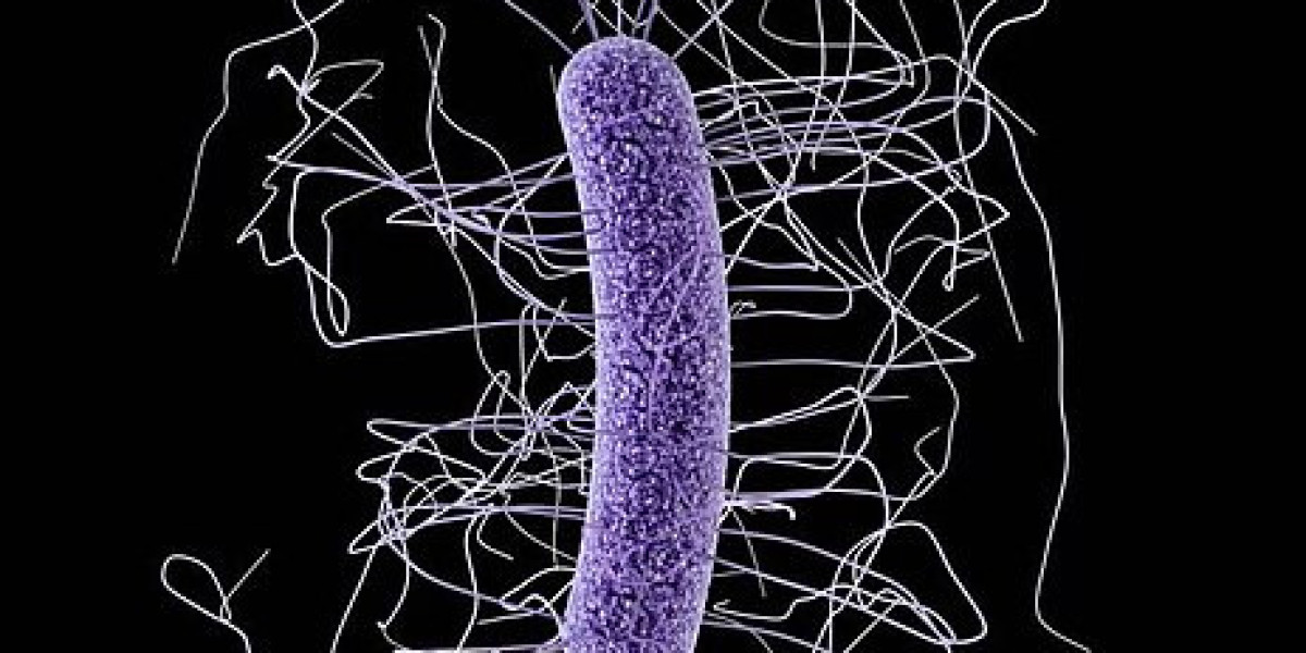 Bridging Science and Practice: REBYOTA for Clostridium difficile Infection