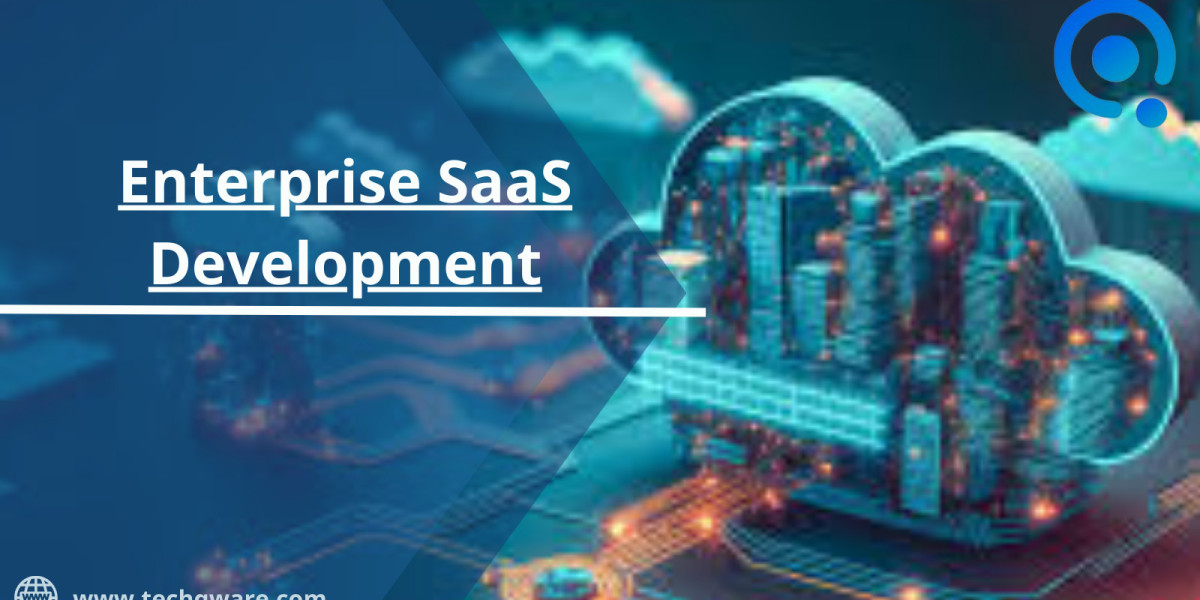 Enterprise SaaS Development