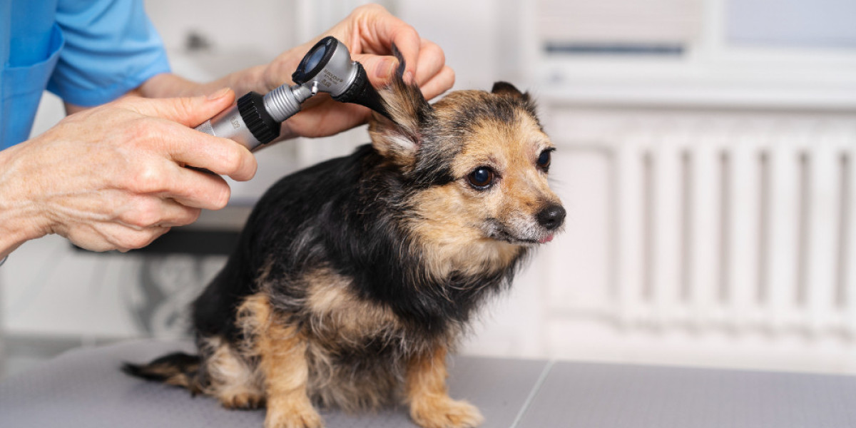 The Ultimate Guide to Dog Grooming in Loganville, GA: Special Focus on Doodle Dog Grooming