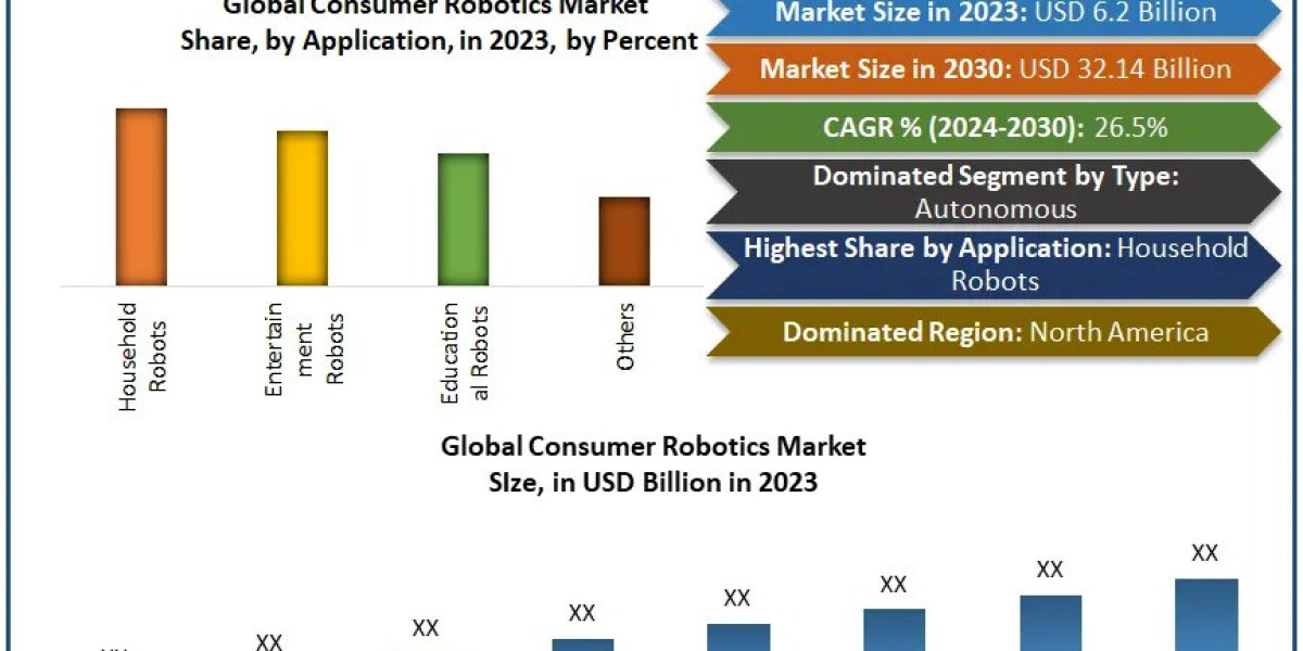 Consumer Robotics Market Size: Industry Insights and Future Projections