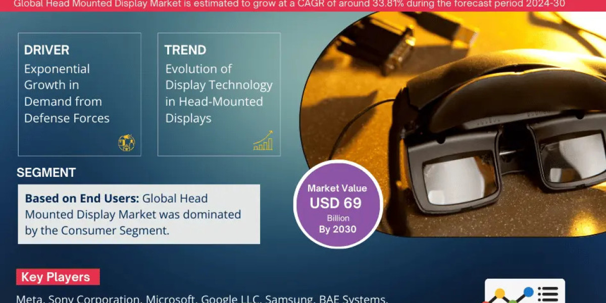 Global Head Mounted Display Market Comprehensive Analysis and Forecast 2024 to 2030