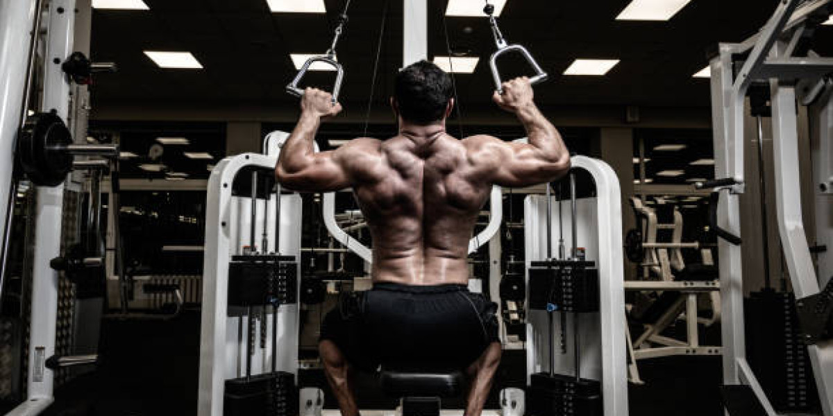 Building Muscle Faster: Top Testosterone Boosters to Try in 2025