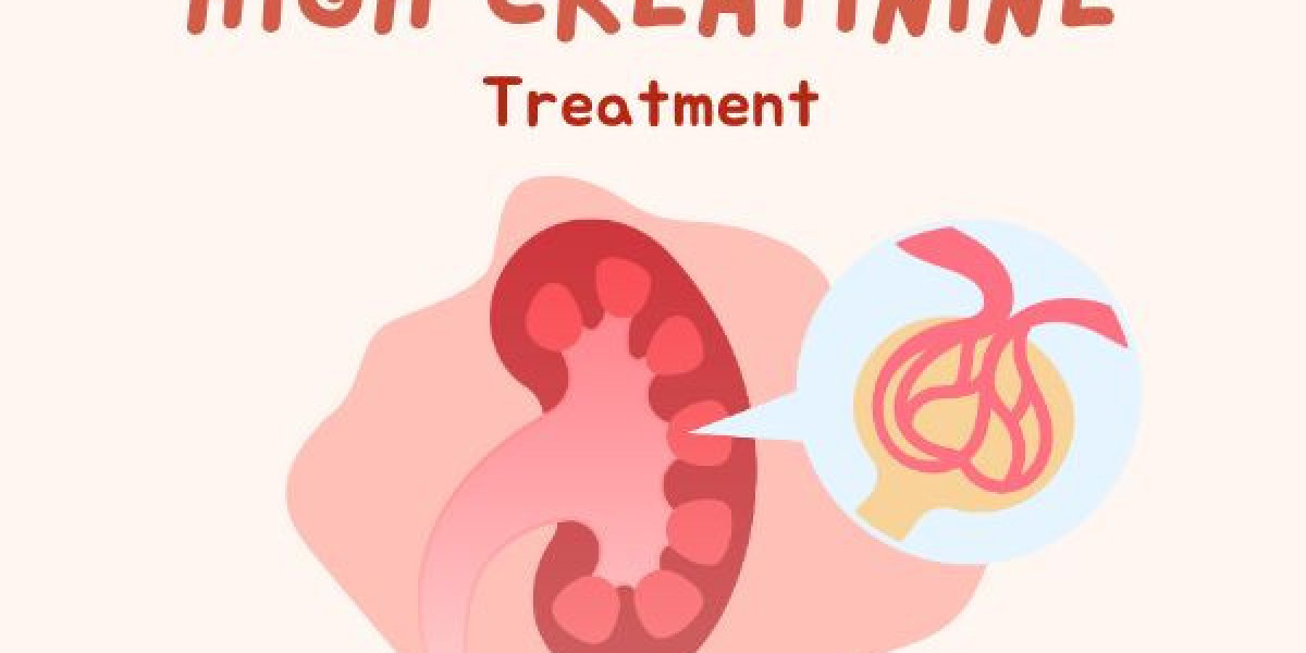 Bharat Homeopathy: A Natural & Safe Treatment for Prolonged Kidney Illness
