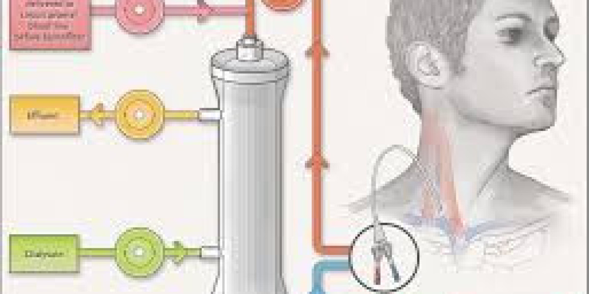 Global Continuous Renal Replacement Therapy (CRRT) Market: Trends, Growth Drivers, and Future Outlook