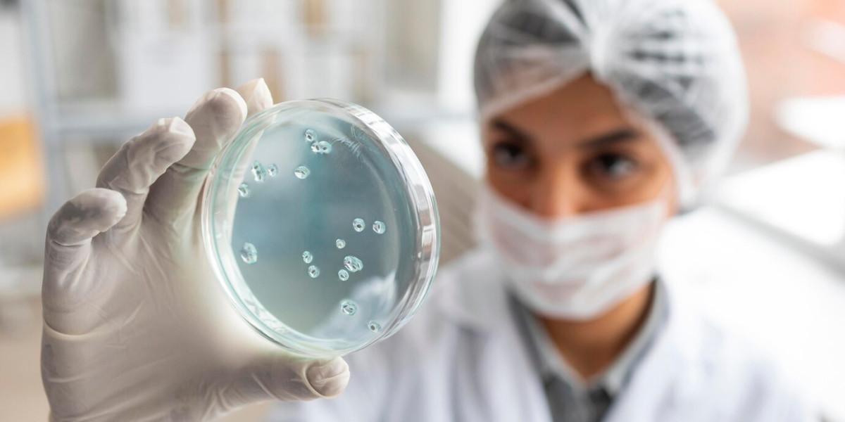 Immuno-Oncology Market: Size, Growth, Trends, Innovations and Future Prospects