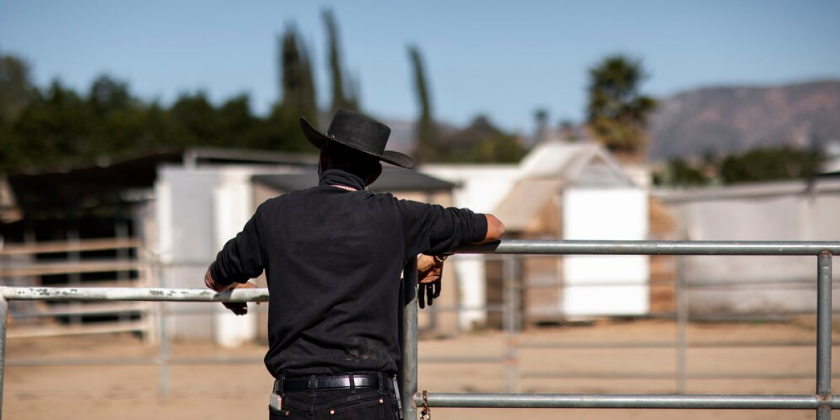 Professional Security Patrol in Sacramento: Your Trusted Partner: Direct Guard Services