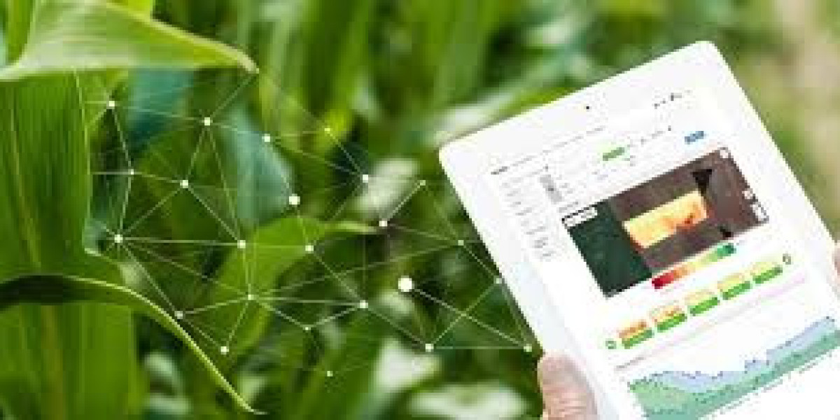Global Farm Management Software Market: Trends and Future Outlook