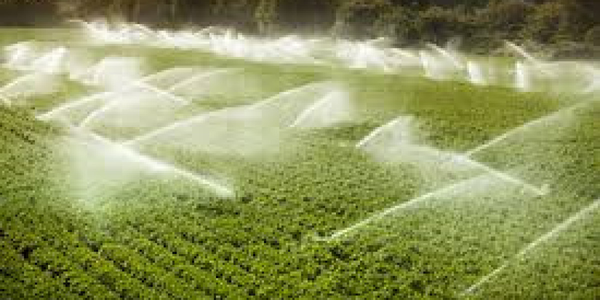 The Future of Irrigation Automation Market: Trends, Growth, and Innovations