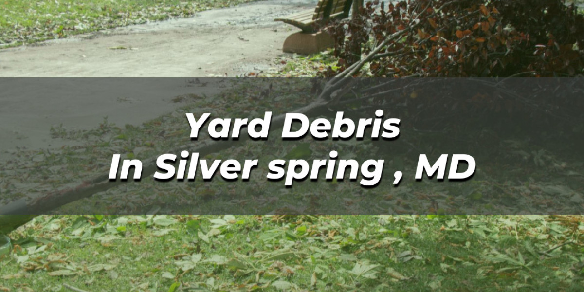 Yard Debris Removal in Silver Spring, MD: Let DMV Got Junk Take Care of It!