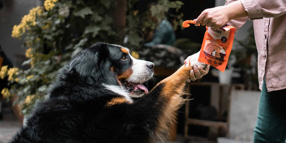 Mackerel Bites for Dogs: A Nutritious and Delicious Treat Choice