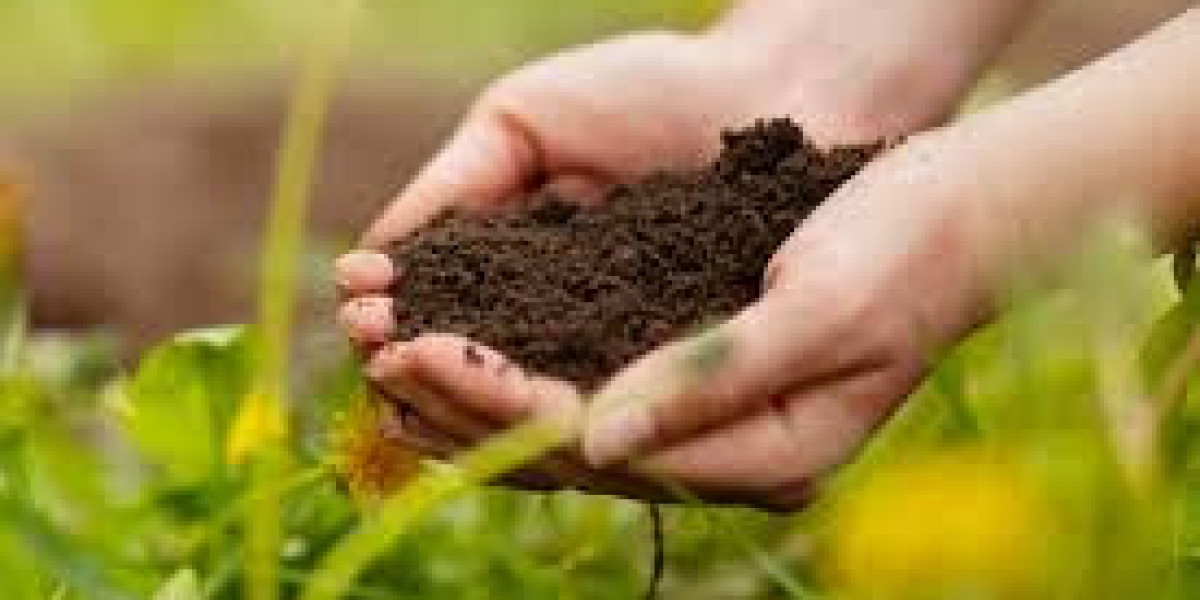 Soil Conditioners Market Trends 2025: Sustainable Farming Meets Smart Soil Solutions