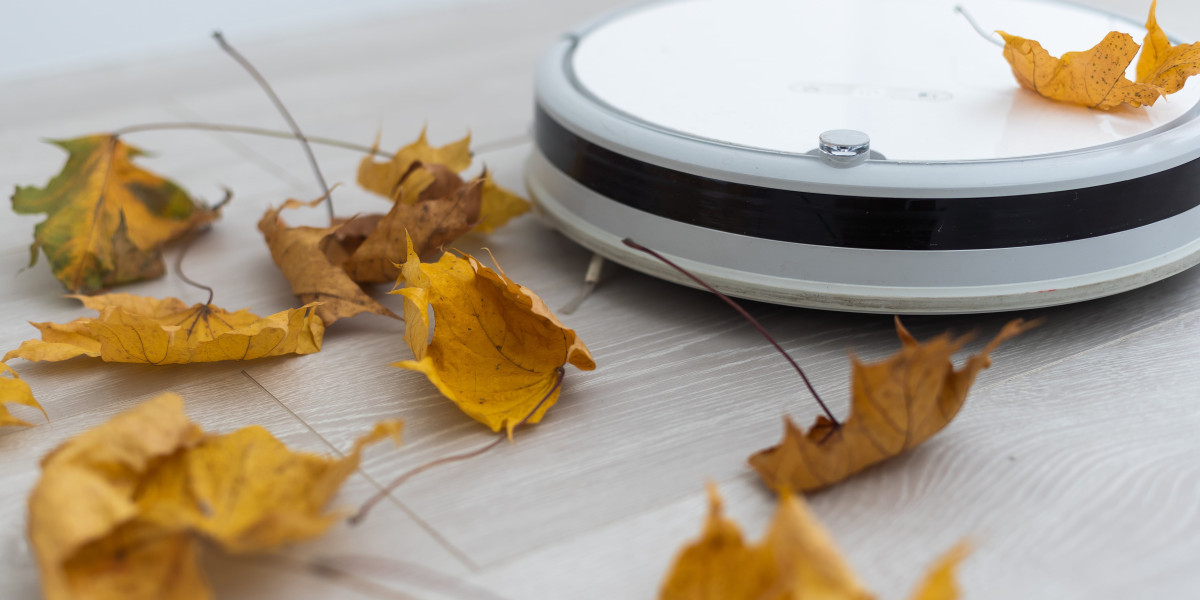 Is Your Company Responsible For The Best Robovac Budget? 12 Top Ways To Spend Your Money