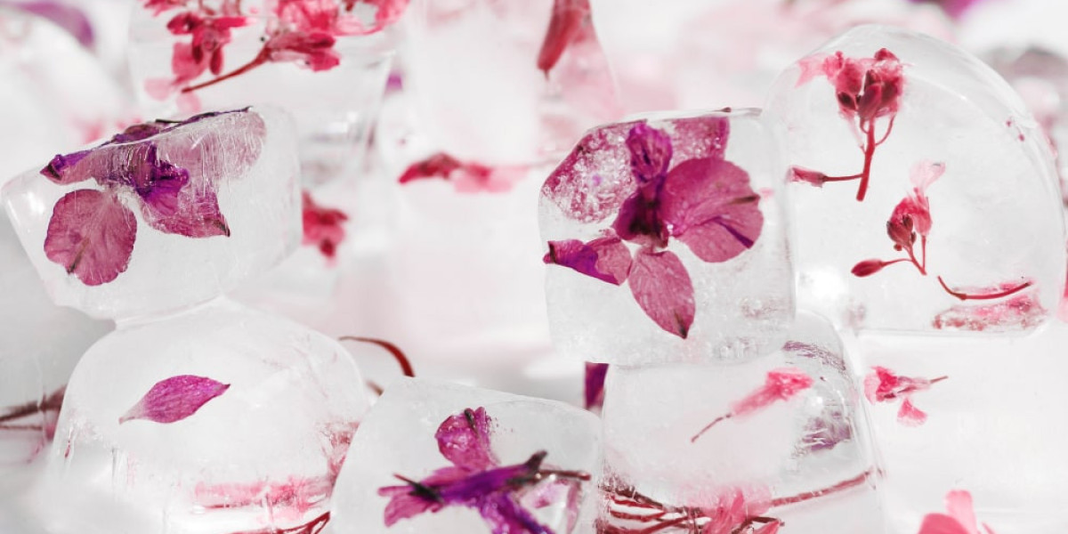 Unusual Uses of Ice Around the World: From Sports to Sculpture