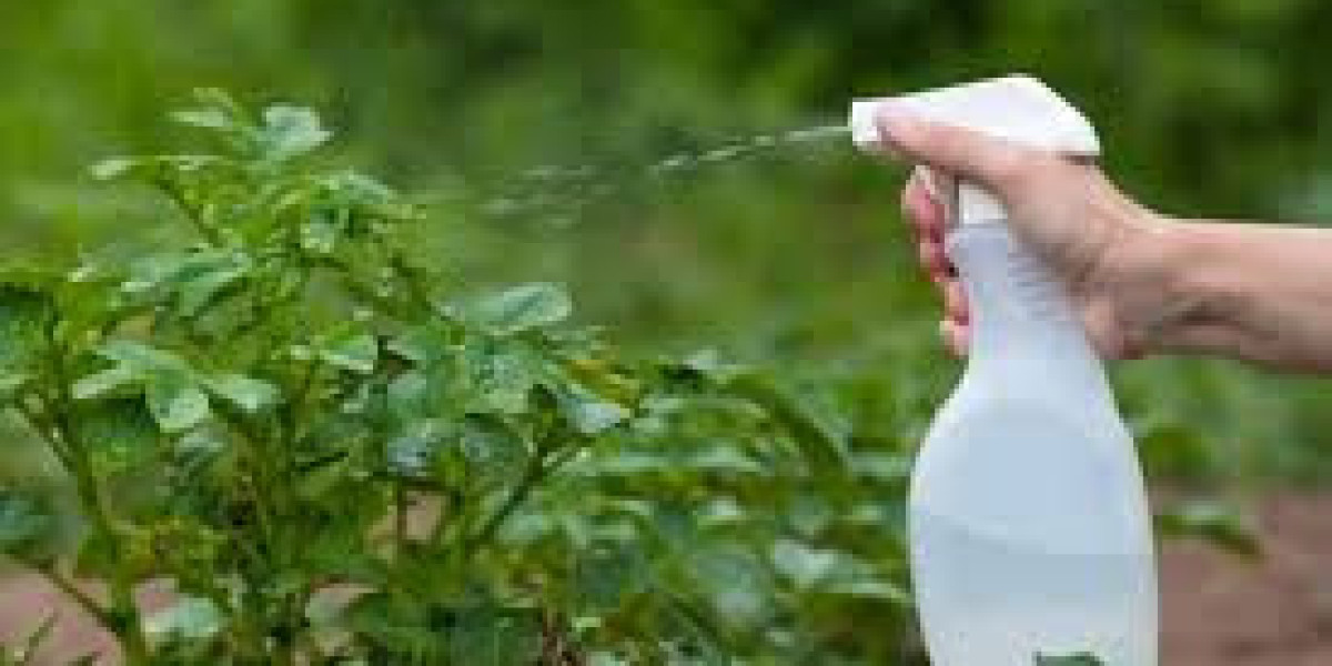Global Food Thickeners Market Size, Demand, Forecast 2023 - 2033