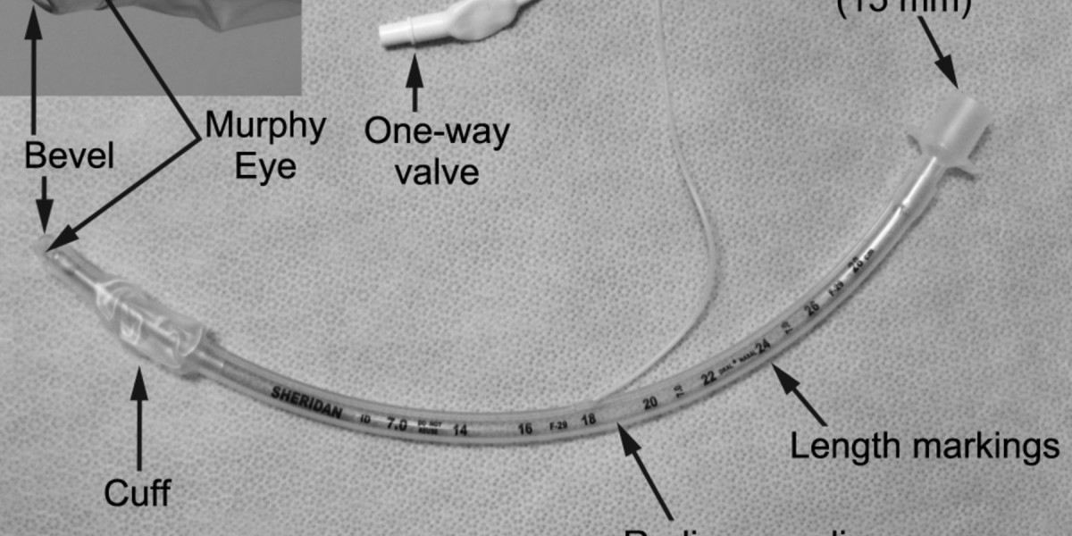 Anesthesia Endotracheal Tubes Market Report 2025 | Share, Forecast 2033