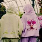 Alchemai Hoodie