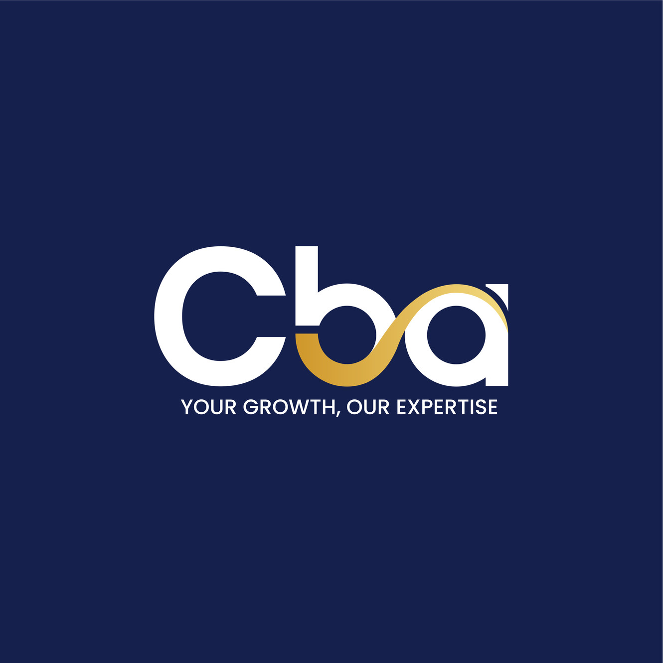 Expert Strategic Bookkeeping & Virtual CFO Services for SMEs