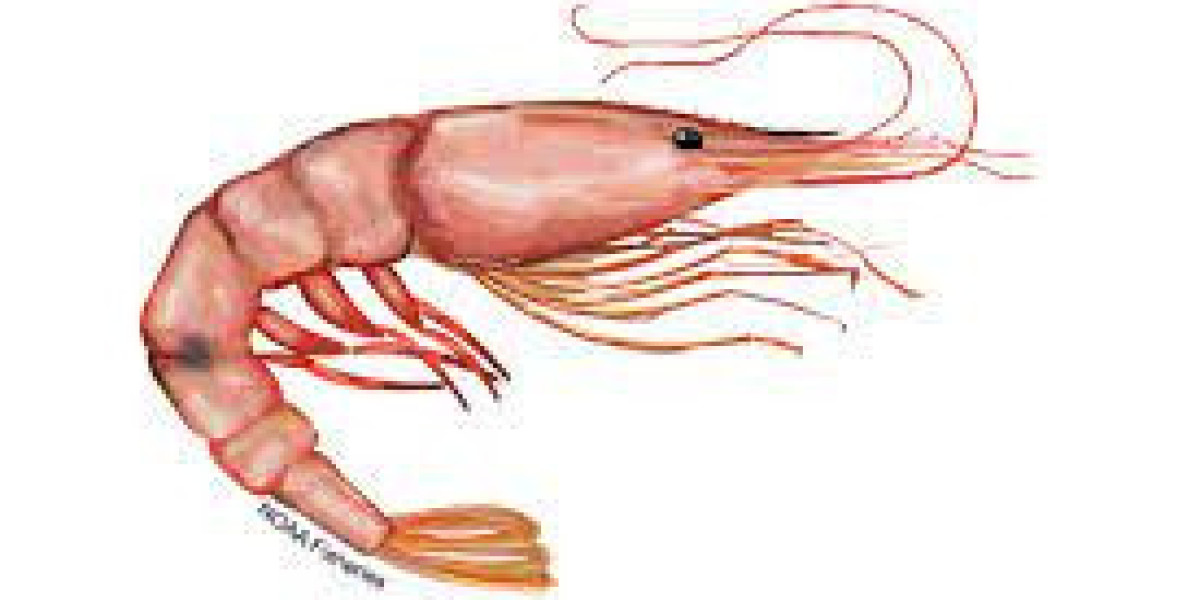 North America Shrimp Market Size and Key Trends to Watch by 2032
