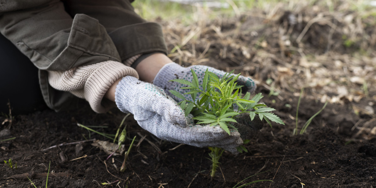 Premium Mulch Delivery in Pflugerville Now Available