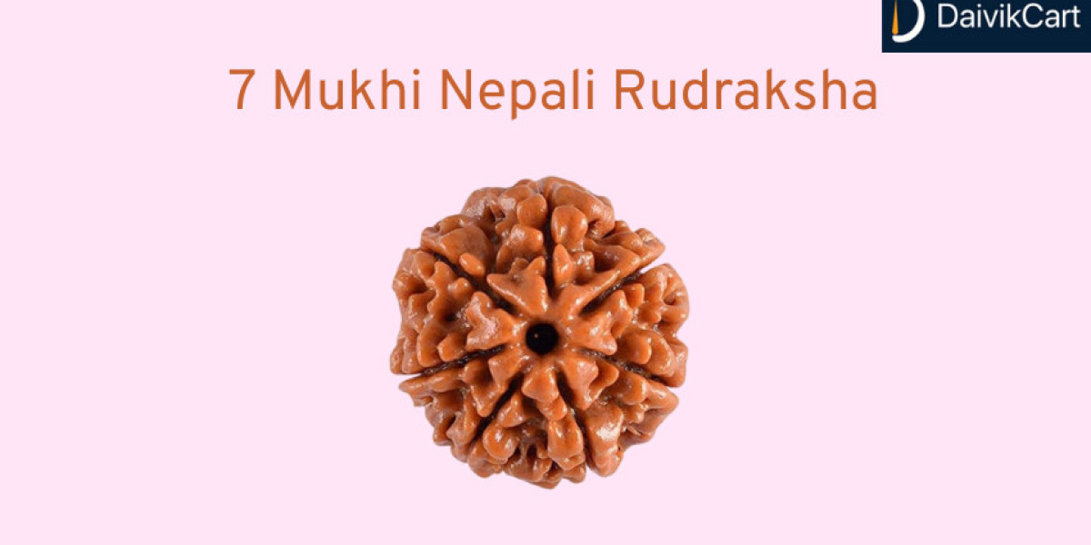 Great 7 Mukhi Nepali Rudraksha For Health and Prosperity