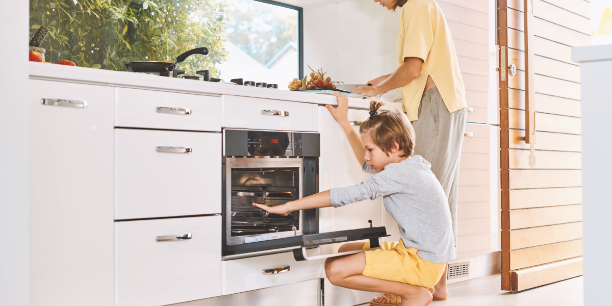 5. Which Built In Oven To Buy Projects For Any Budget