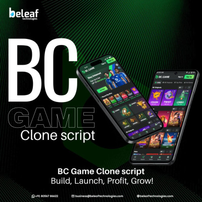 BC.Game Clone Script | Free Live Demo Profile Picture