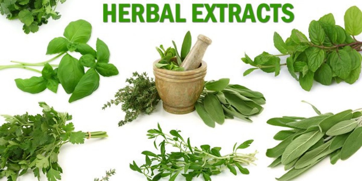 Herbal Extract Market Transforming the Growth Landscape