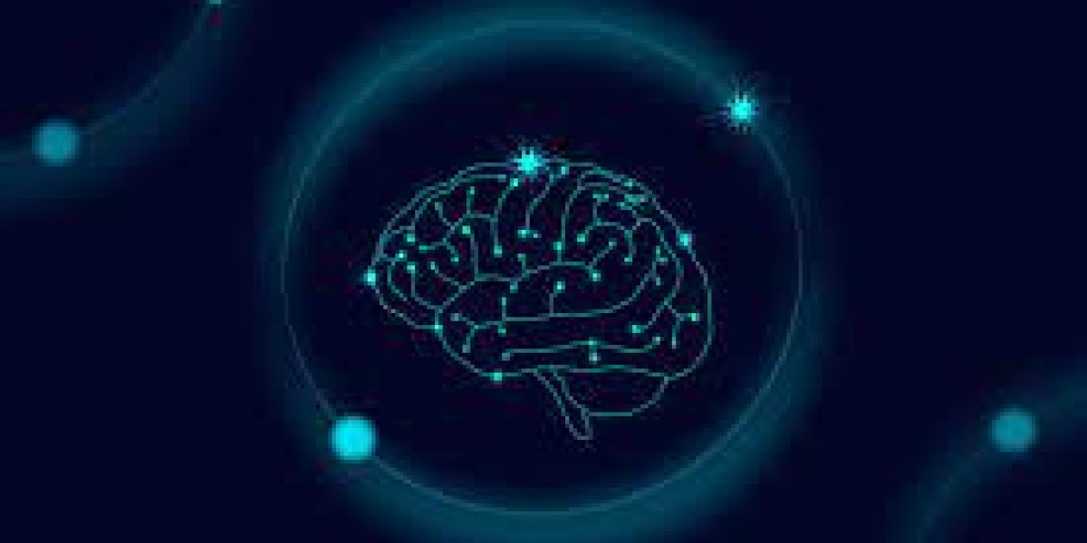 Smart Supplements on the Rise: Inside the U.S. Nootropics Market Growth Forecast