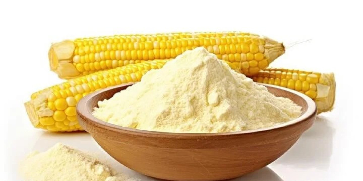 Project Report on Maize Starch Manufacturing Plant: Capital Costs